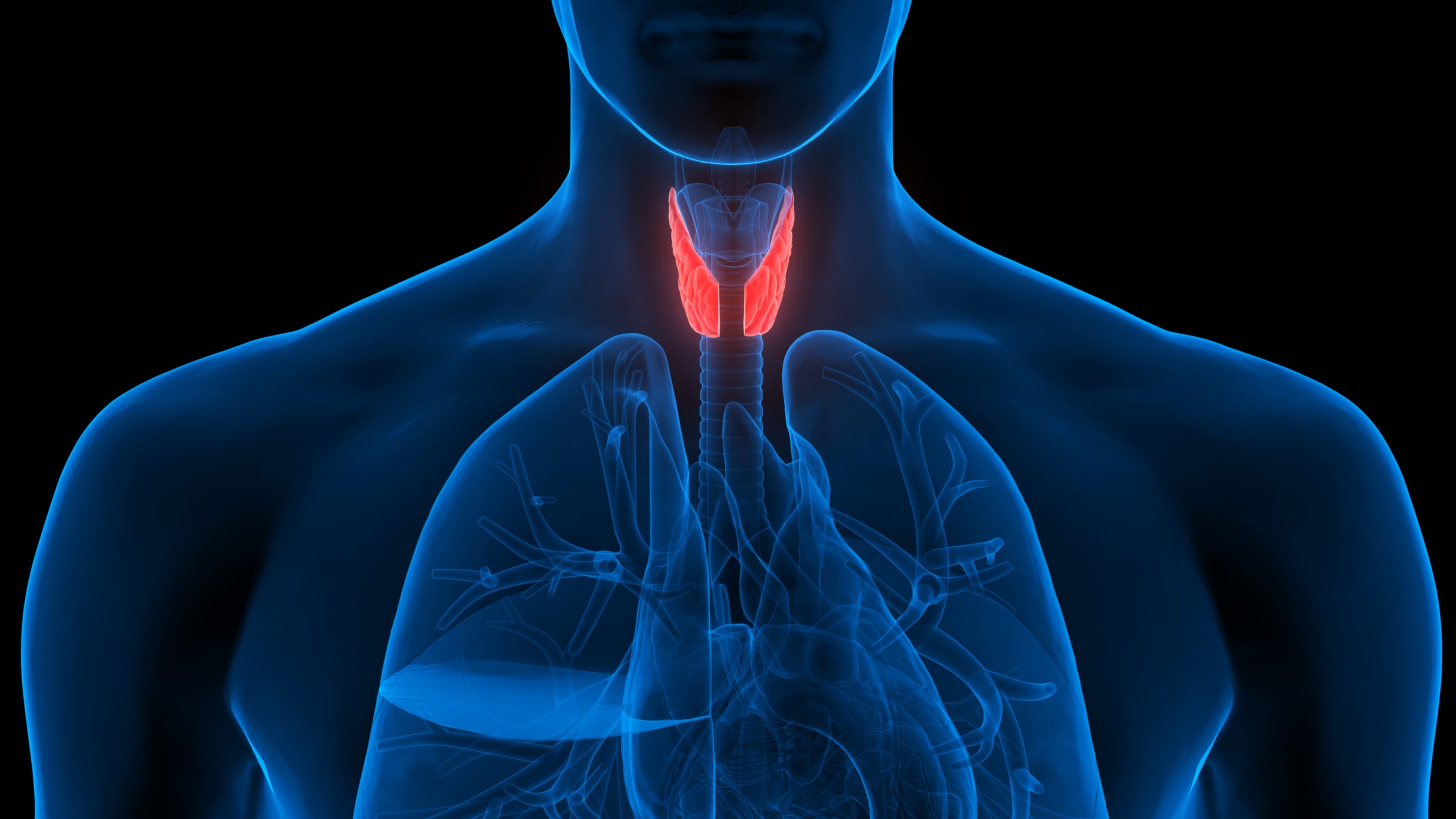 Thyroid Advanced - Red Canaria Laboratorios