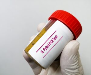 Helicobacter pylori rouge