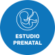 Estudio prenatal
