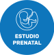 étude prénatale
